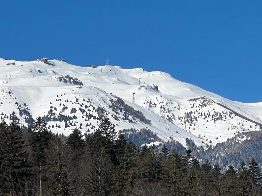 Coca Apart Mountain View Sinaia Zewnętrze zdjęcie