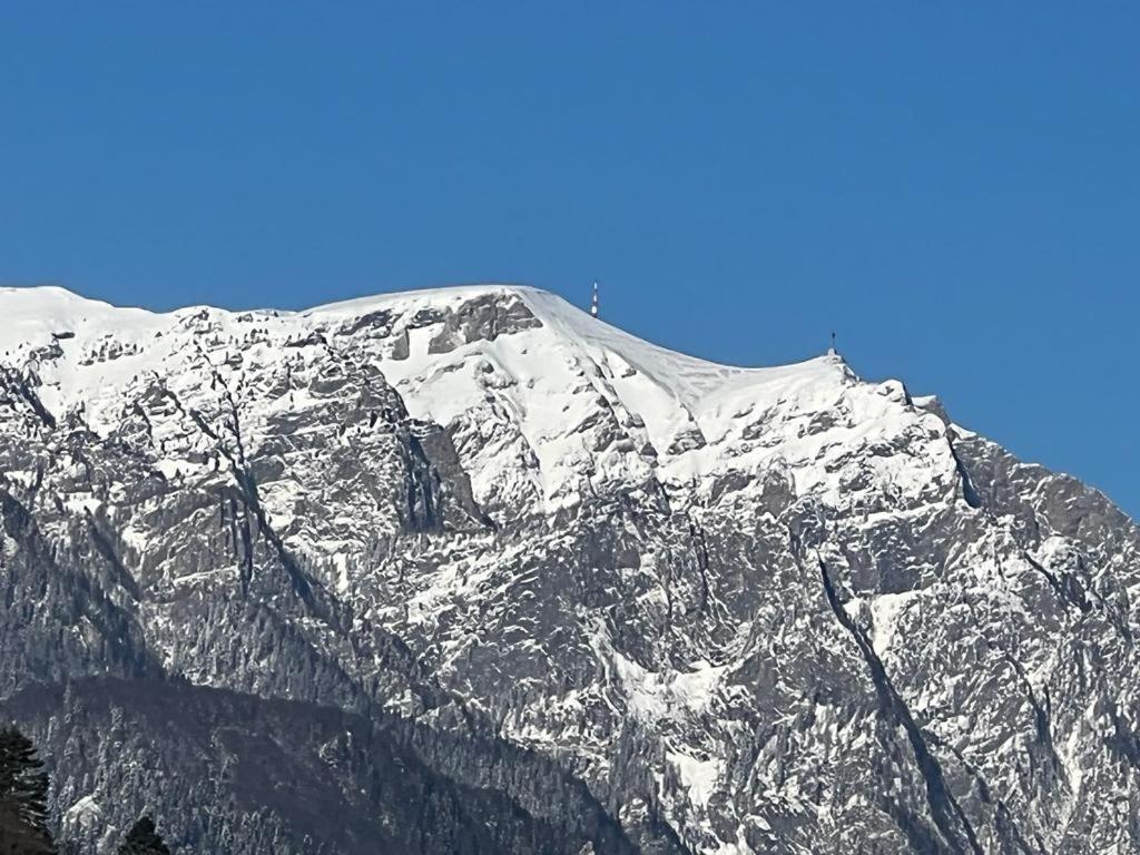 Coca Apart Mountain View Sinaia Zewnętrze zdjęcie