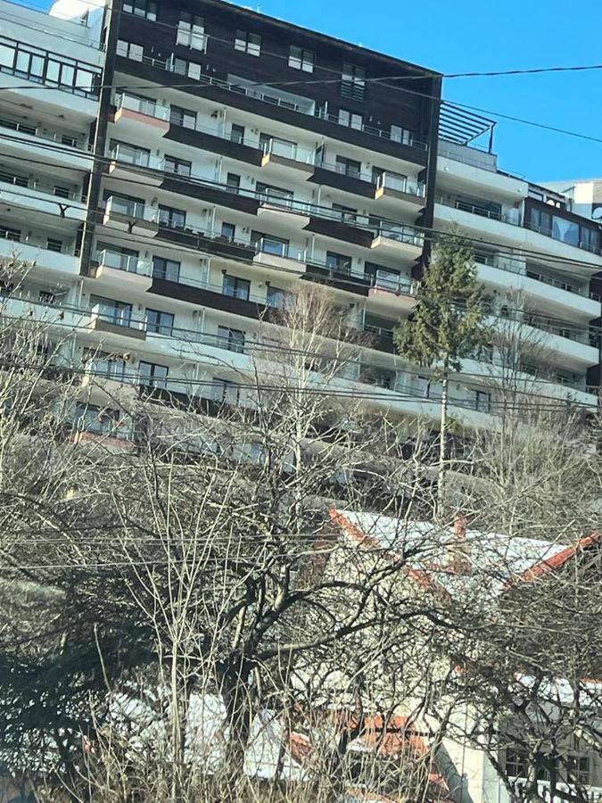 Coca Apart Mountain View Sinaia Zewnętrze zdjęcie