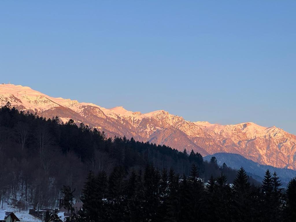 Coca Apart Mountain View Sinaia Zewnętrze zdjęcie