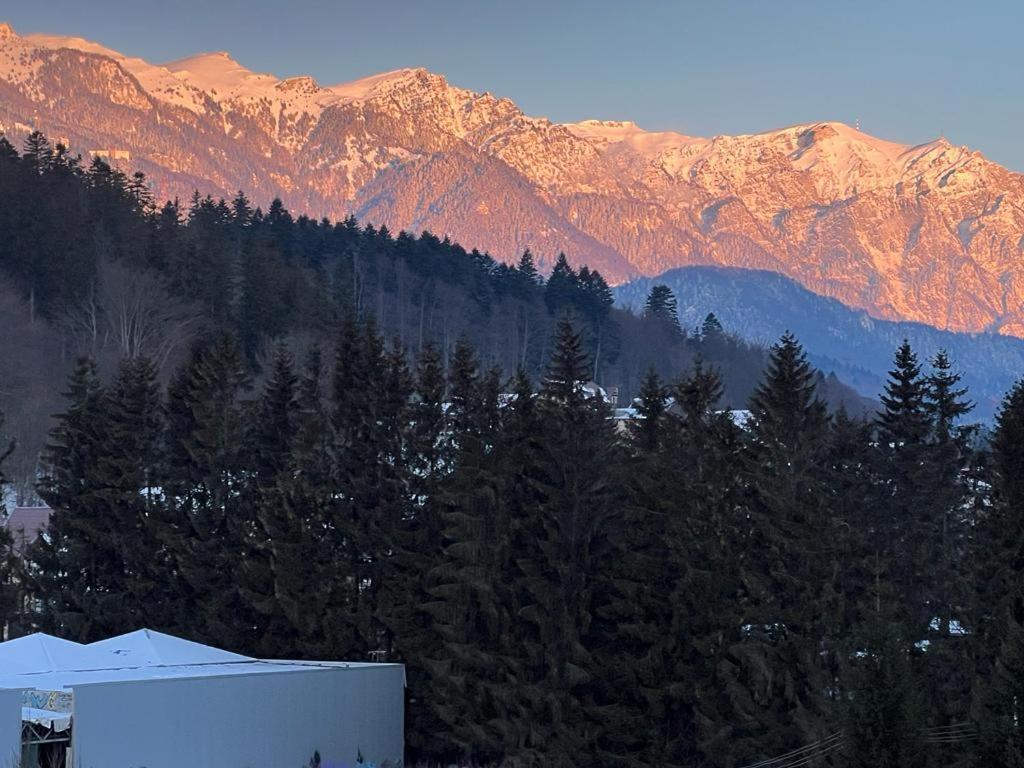 Coca Apart Mountain View Sinaia Zewnętrze zdjęcie