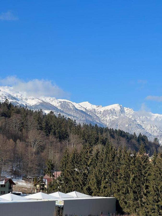 Coca Apart Mountain View Sinaia Zewnętrze zdjęcie