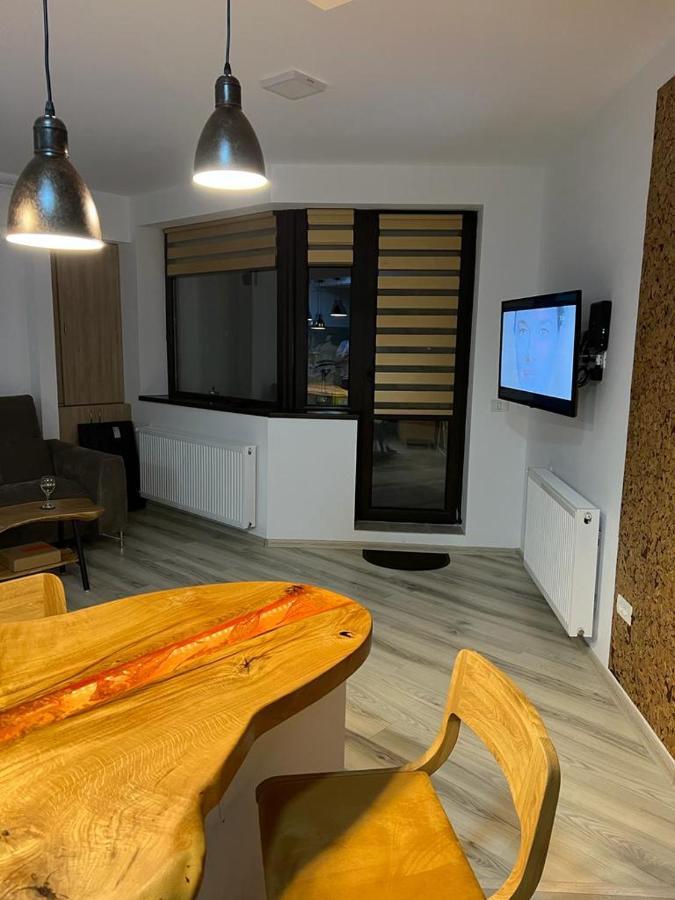 Coca Apart Mountain View Sinaia Zewnętrze zdjęcie