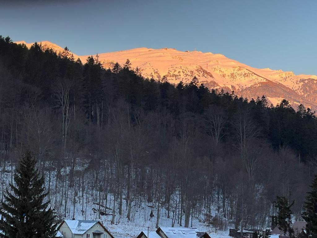 Coca Apart Mountain View Sinaia Zewnętrze zdjęcie