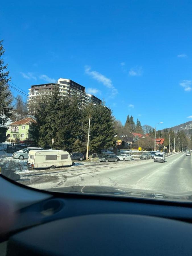 Coca Apart Mountain View Sinaia Zewnętrze zdjęcie