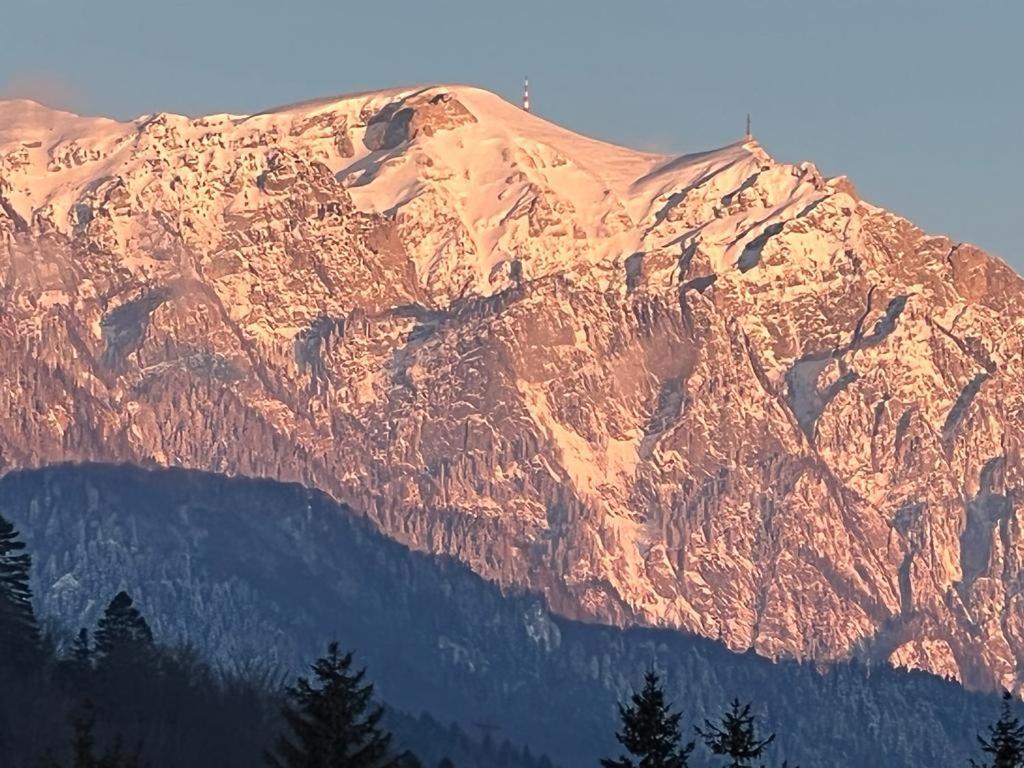 Coca Apart Mountain View Sinaia Zewnętrze zdjęcie