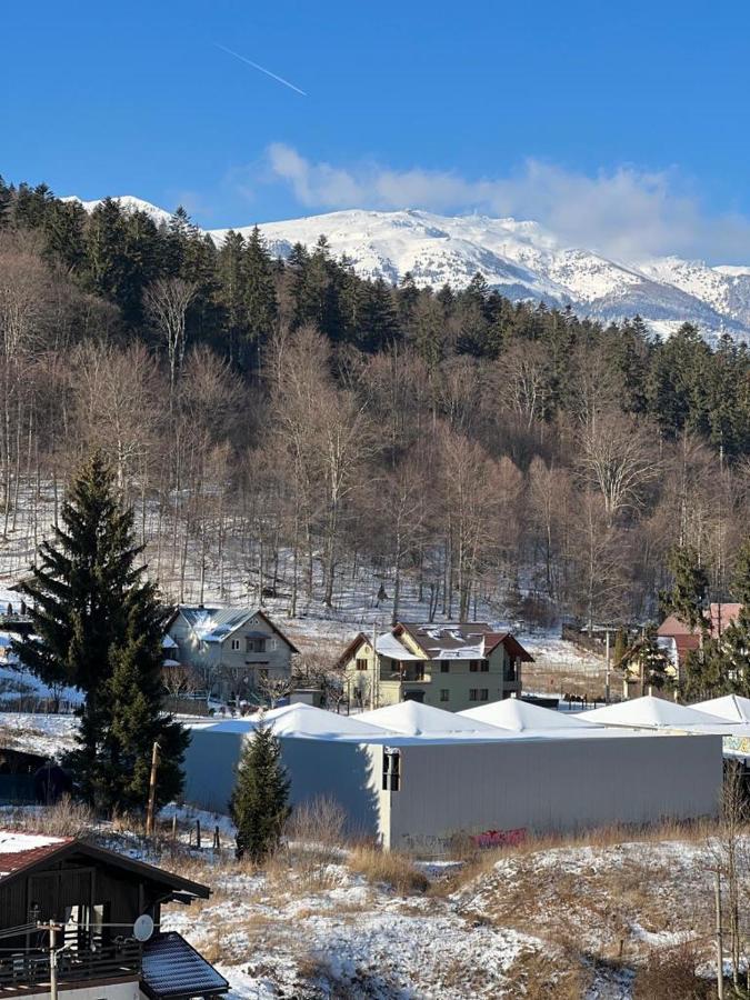 Coca Apart Mountain View Sinaia Zewnętrze zdjęcie