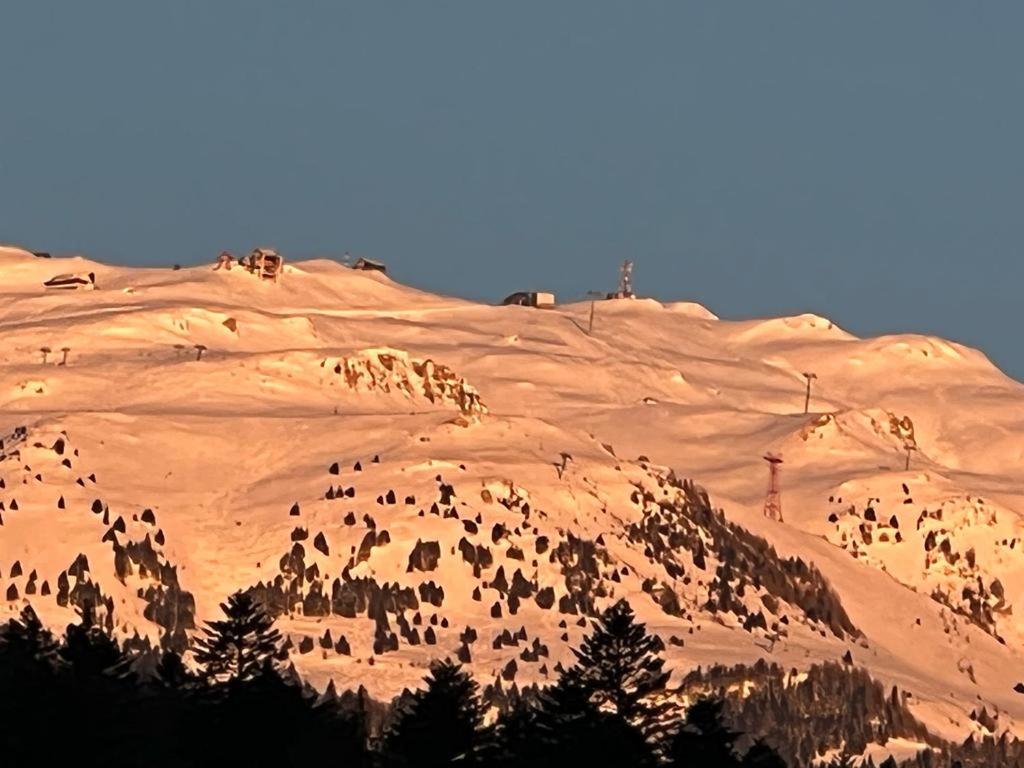 Coca Apart Mountain View Sinaia Zewnętrze zdjęcie
