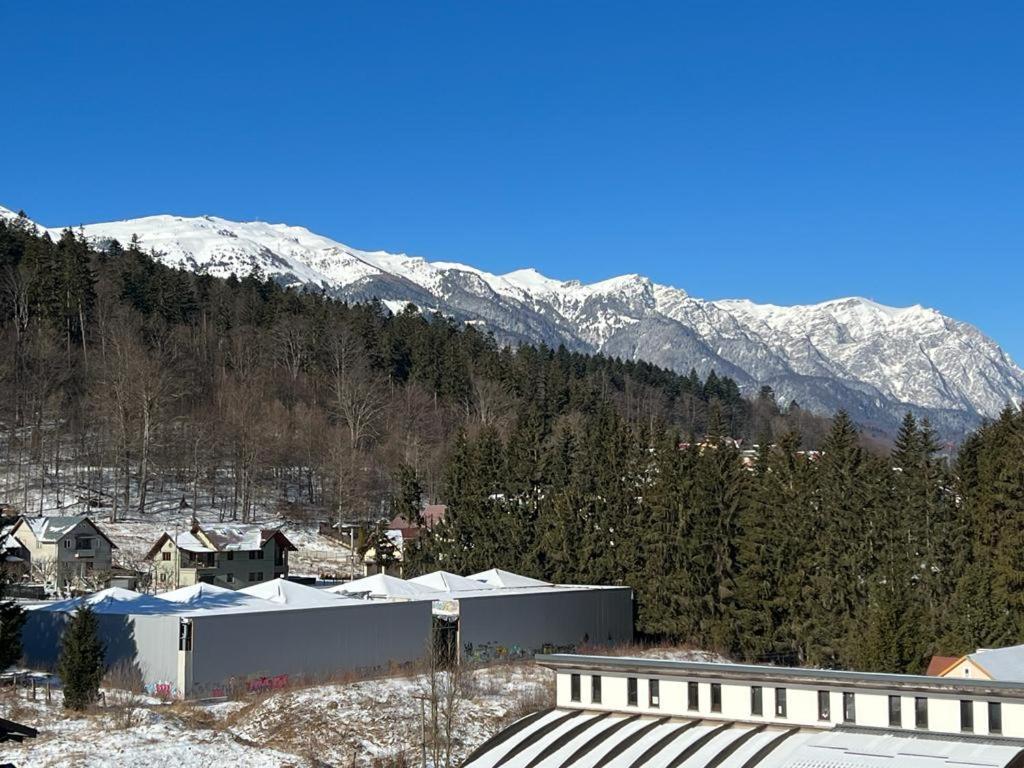 Coca Apart Mountain View Sinaia Zewnętrze zdjęcie