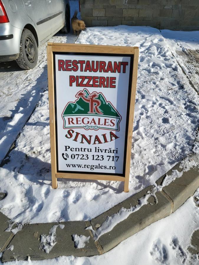 Coca Apart Mountain View Sinaia Zewnętrze zdjęcie