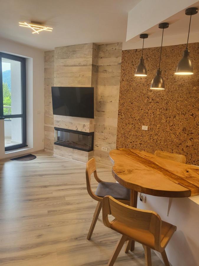Coca Apart Mountain View Sinaia Zewnętrze zdjęcie